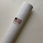 Declaration of Independence: Freedom 250 [Giclée Print]